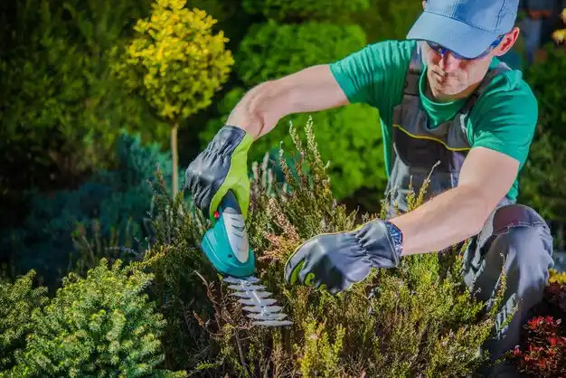 landscaping services Cincinnati